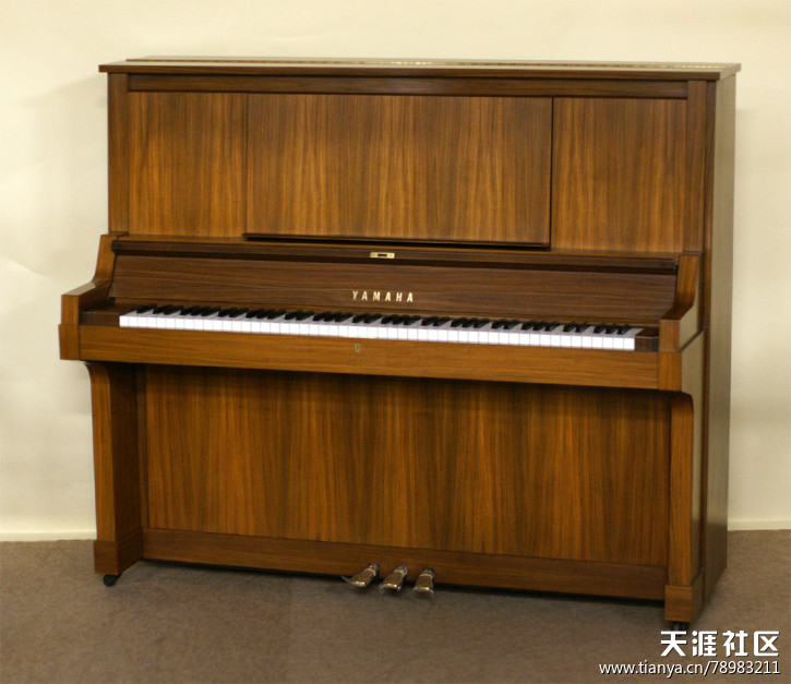 廣州亮樂鋼琴調(diào)律 (鋼琴回收、鋼琴調(diào)律、鋼琴維修、鋼琴翻新 )